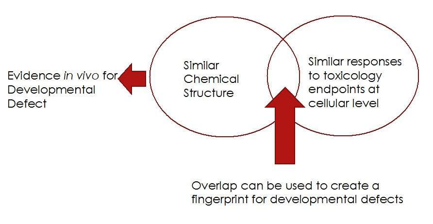 4.4: Other Approaches For Predictive Toxicity Modeling - Chemistry ...